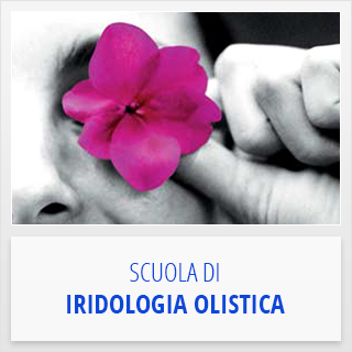 banner iridologia